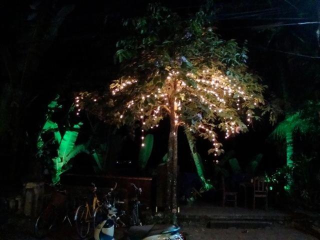 Riverside Guesthouse หลวงพระบาง ภายนอก รูปภาพ